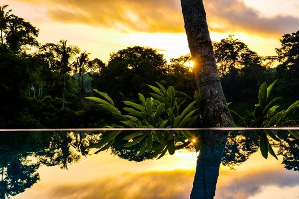Kupu Kupu Private Villa Ubud Buitenkant foto